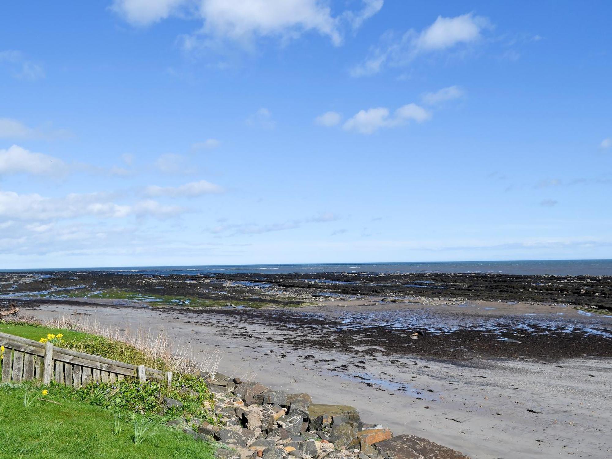 Limpet Cottage Boulmer Exteriör bild